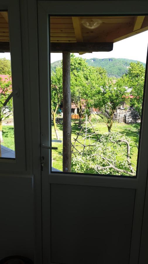 Pensiunea Patricia Oesti-Paminteni Bilik gambar
