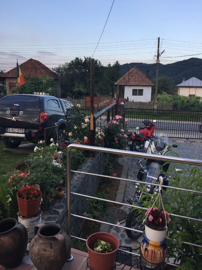Pensiunea Patricia Oesti-Paminteni Luaran gambar